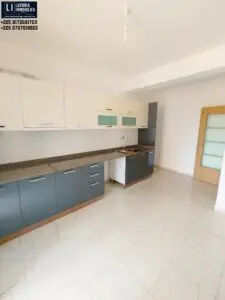 Cuisine américaine entièrement équipée et moderne (four, hotte, placards) dans un appartement de luxe à Zone 4