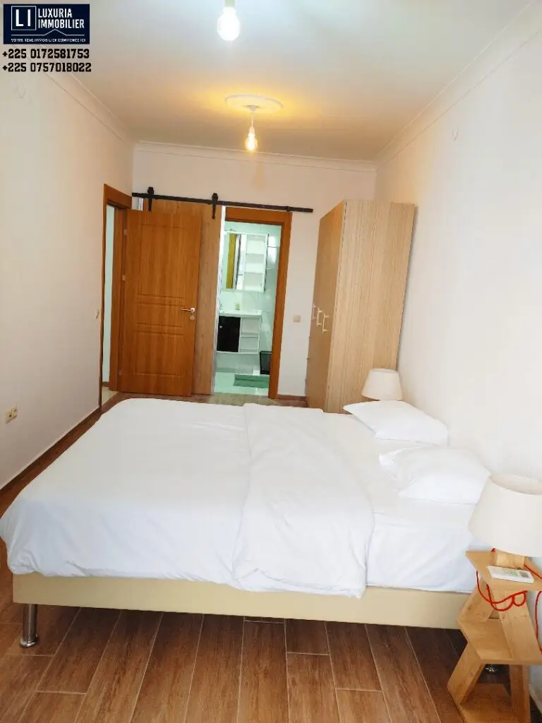 APPARTEMENT MEUBLE EN VENTE A MARCORY ZONE 4 image 5