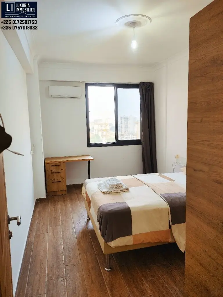 APPARTEMENT MEUBLE EN VENTE A MARCORY ZONE 4 image 3